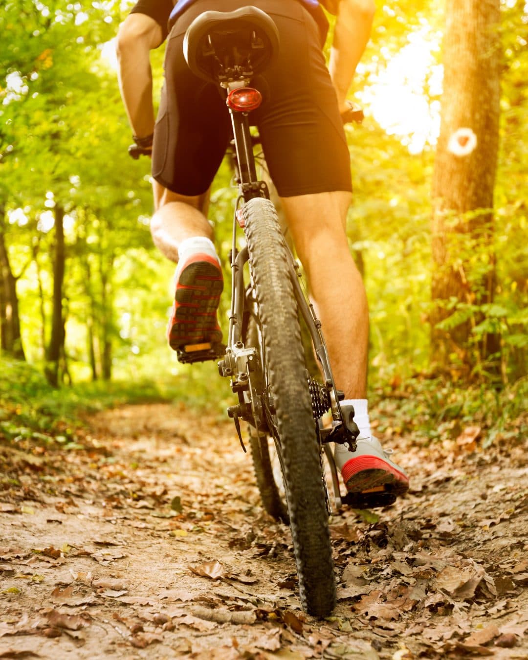 Giro in bici lungo il lago